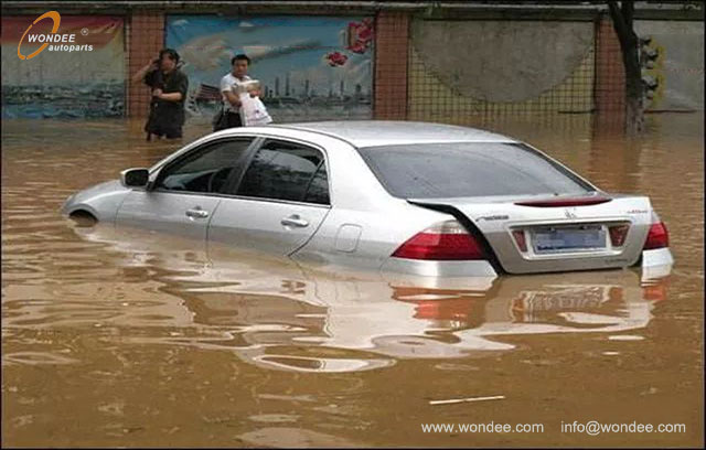 Inondé et callante (4)