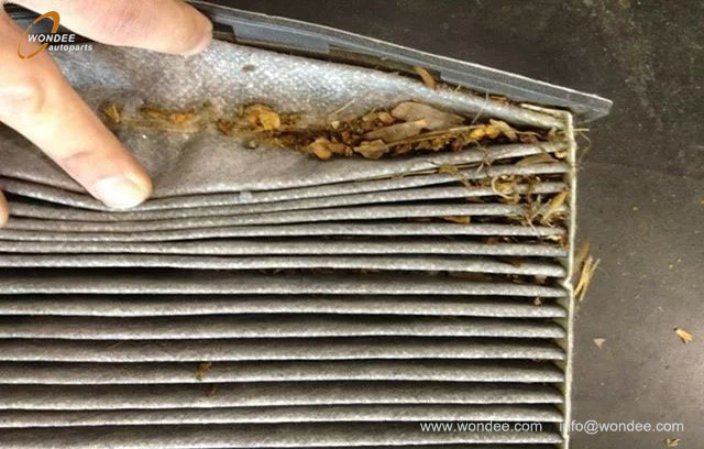 Air chaud dans une voiture (5)