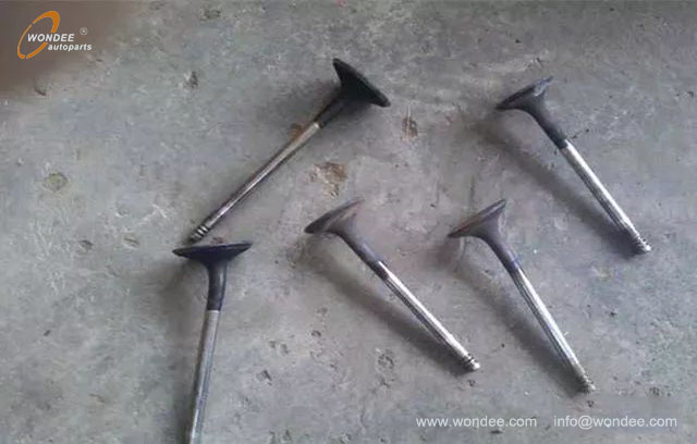 courroie de distribution (3)