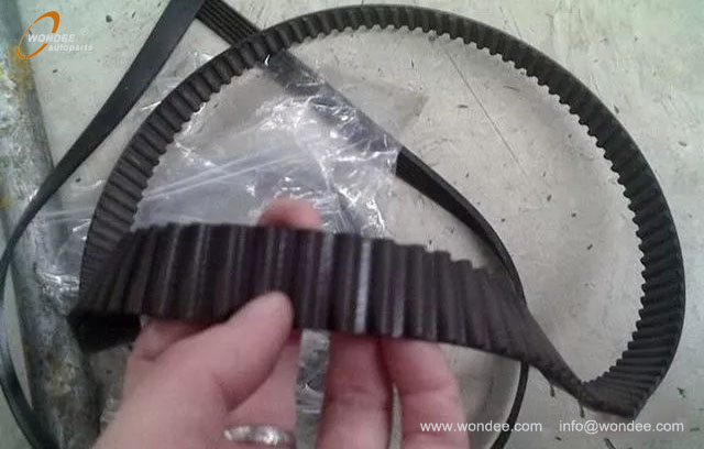 courroie de distribution (4)