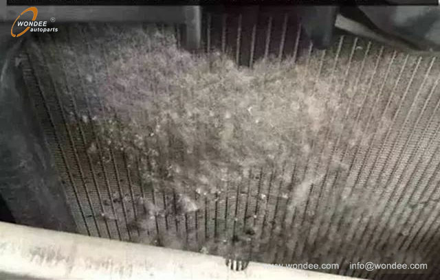 Water tank protective net (2) Net de protection du réservoir d'eau (2)