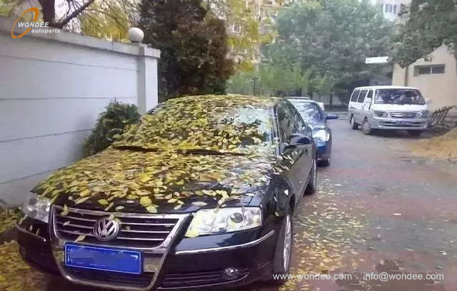 Parking de longue date (2)
