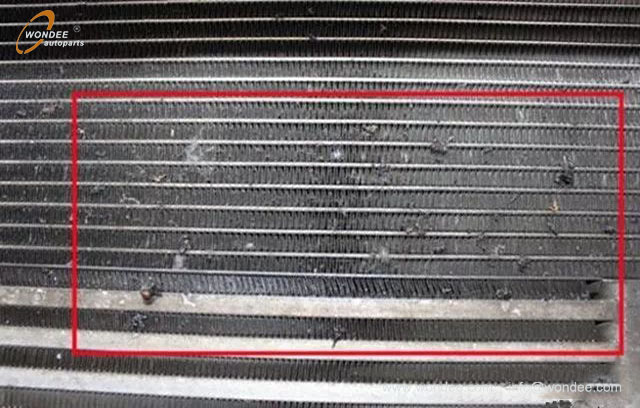 Water tank protective net (3) Net de protection du réservoir d'eau (3)