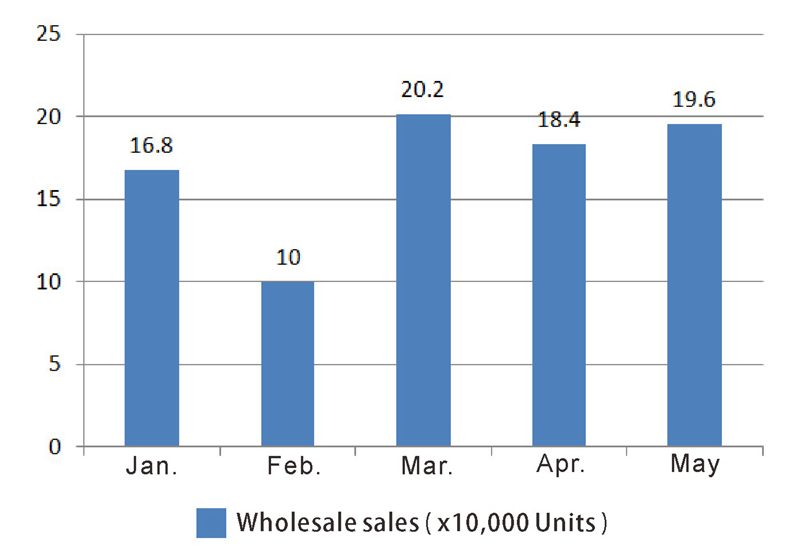 Nouvelle voiture de tourisme d'&eacute;nergie (3)