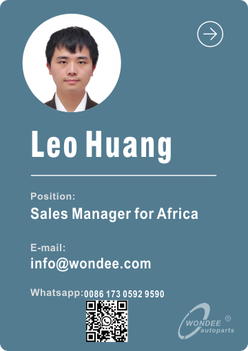 LEO